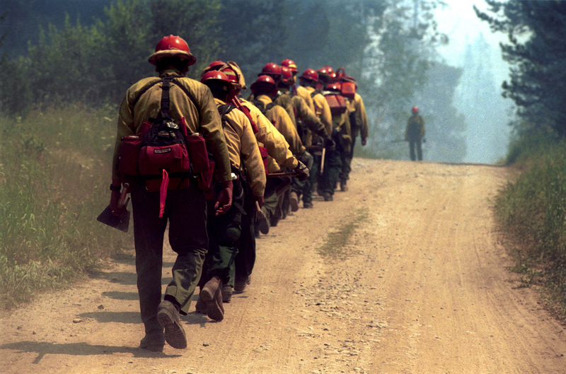 Illustration for article titled How Wildfires Are Fought And What You Can Do If One Threatens You